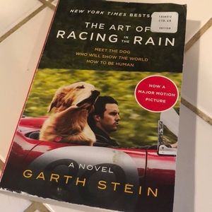 The Art of Racing in the Rain